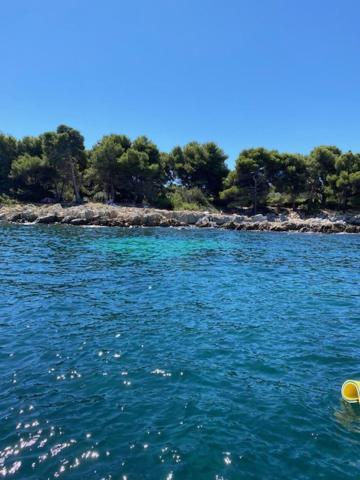 Appartement Luxueux 150M2 - Cannes Eksteriør bilde