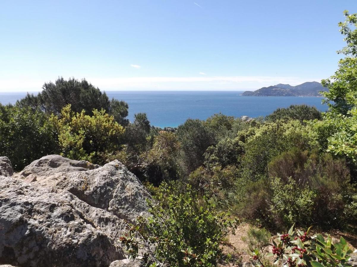 Appartement Luxueux 150M2 - Cannes Eksteriør bilde